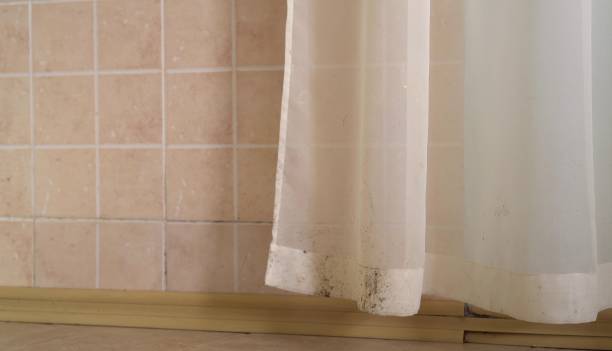 Best Indoor Air Quality Assessment  in Red Bay, AL