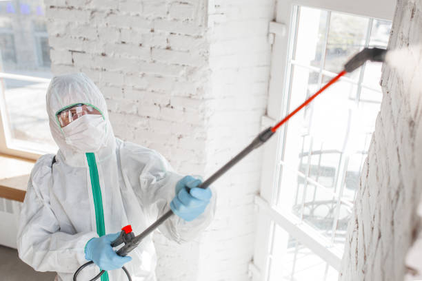 Best Residential Mold Inspection & Testing  in Red Bay, AL