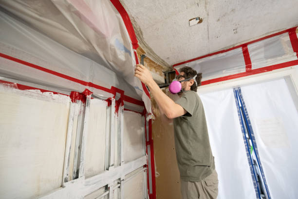 Best Mold-Related Health Consultation  in Red Bay, AL