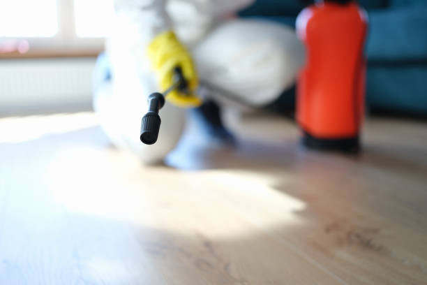 Best Asbestos and Lead Testing During Mold Inspection  in Red Bay, AL