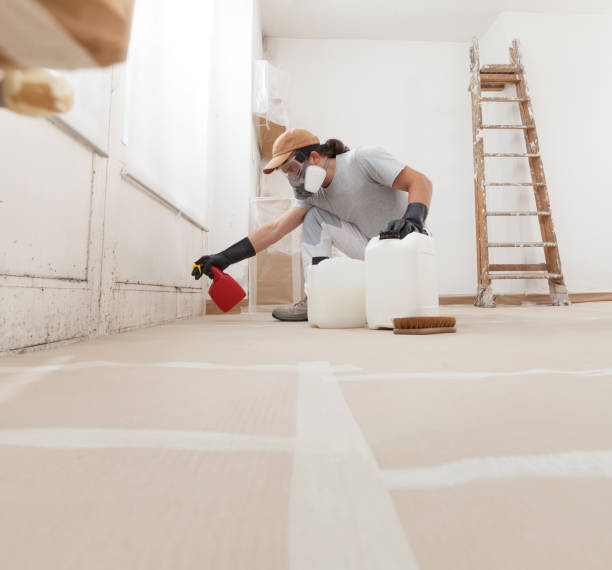 Best Mold Odor Removal Services  in Red Bay, AL