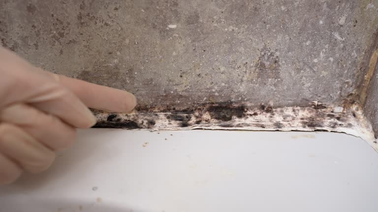Best Biohazard Mold Removal  in Red Bay, AL